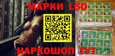 мдпв Кандалакша
