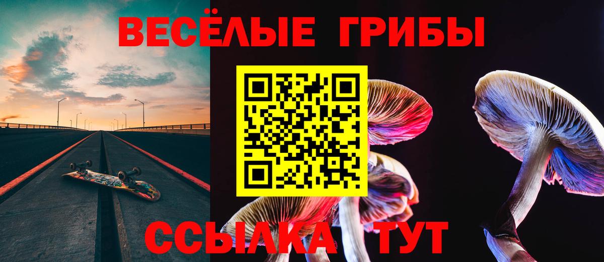 Галлюциногенные грибы ЛСД  Галлюциногенные грибы Cubensis  Вход с VPN  Георгиевск 
